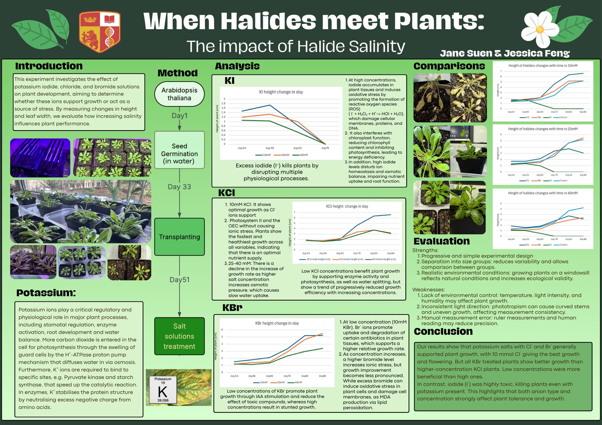 Jane and Jessica x 3