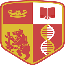 download-Nov-21-2025-08-09-14-6533-PM